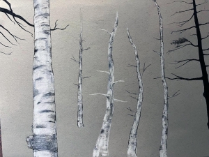 Tree Study (Maine)